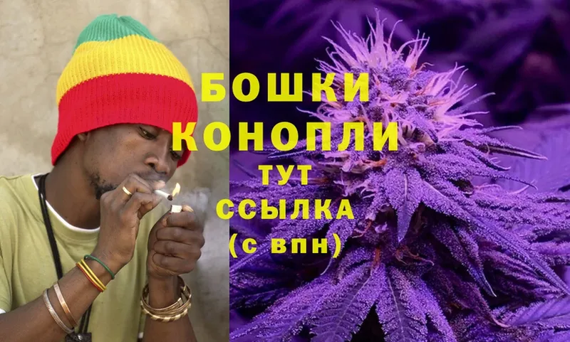 Марихуана SATIVA & INDICA  Михайловка 